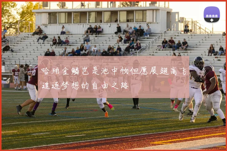 哈珀金鳞岂是池中物但愿展翅高飞追逐梦想的自由之路